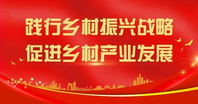 5g手机_5g手机下乡计划_5g手机游戏网