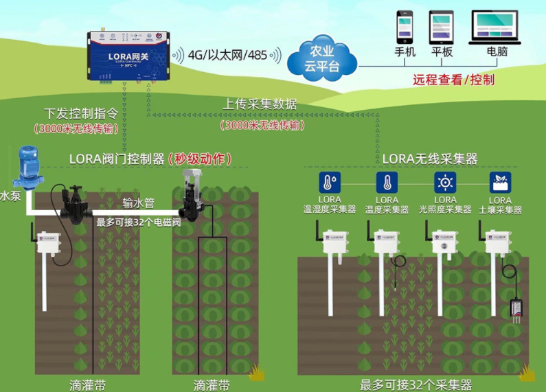 9905g手机_兆手机五笔怎么打_900兆5g手机