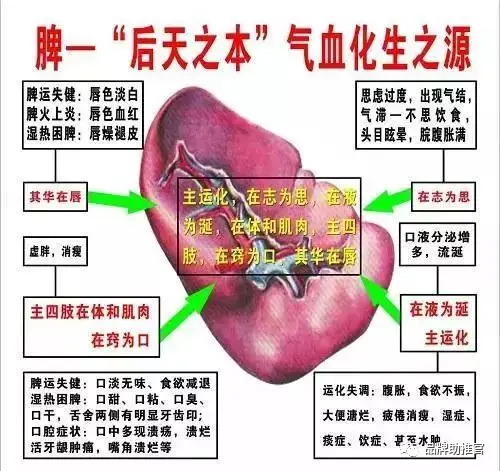 手机功耗_5g手机功耗比4g手机_5g手机热功耗