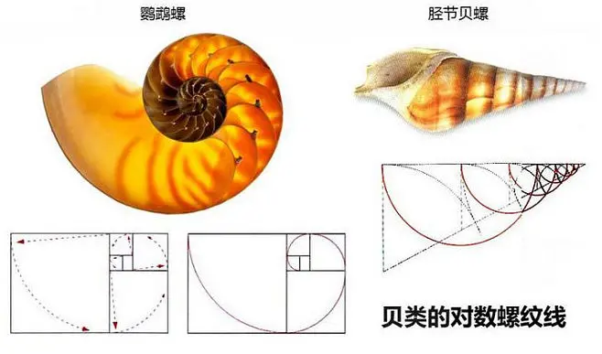 安徽移动5g_铜陵移动5g手机设计_铜陵移动5g覆盖区域