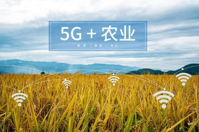 中国农村5g网络什么时候有_在农村5g网络怎么样_中国农村5g网络