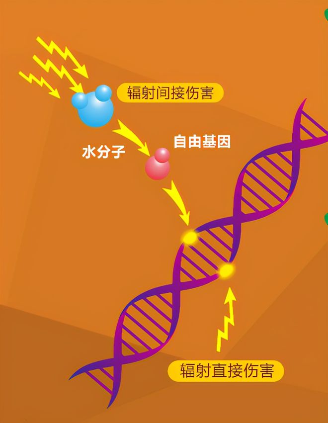 5G频率信号网络：真相揭秘