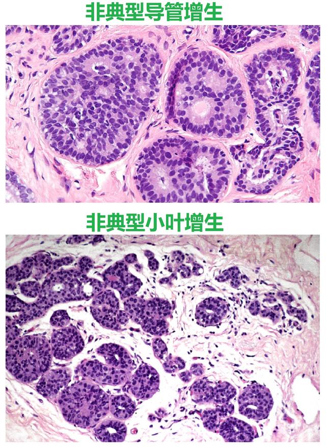 生成手机号接收验证码_生成手机空号_5g手机imei生成