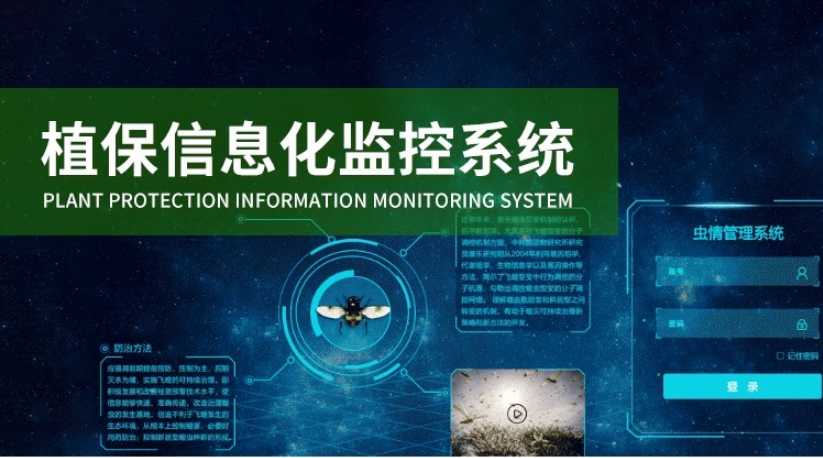 深度剖析：5G手机的实际效能及其对个体生活、商业实践及社会进步的深远影响