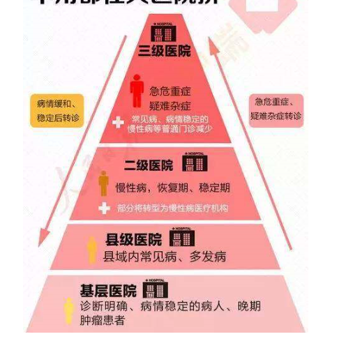 皖西日报5g网络_皖西日报电子版_皖西日报手机版