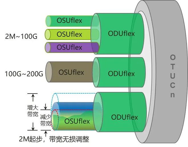 4g手机用5g网络快不快_5g手机用4g网络好用吗_4g手机用5g网快吗